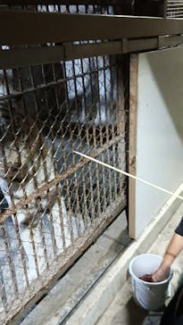 東武動物公園に投稿された画像（2024/11/23）