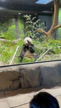 恩賜上野動物園に投稿された画像（2024/11/23）