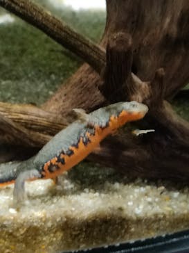 カワスイ 川崎⽔族館に投稿された画像（2024/11/23）