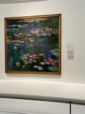 モネ 睡蓮のとき（国立西洋美術館）に投稿された画像（2024/11/23）