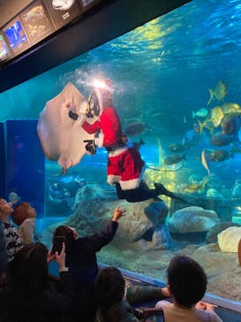 しながわ水族館に投稿された画像（2024/11/23）