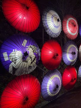 国営昭和記念公園 秋の夜散歩に投稿された画像（2024/11/23）