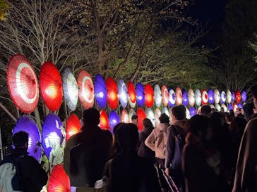 国営昭和記念公園 秋の夜散歩に投稿された画像（2024/11/23）