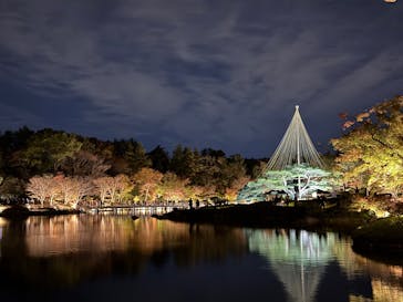国営昭和記念公園 秋の夜散歩に投稿された画像（2024/11/23）