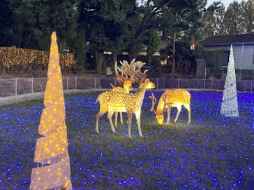 東武動物公園に投稿された画像（2024/11/23）