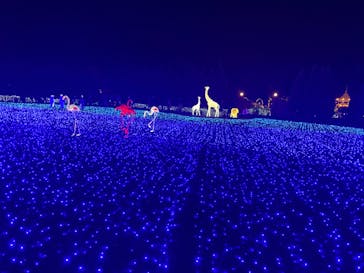 東武動物公園に投稿された画像（2024/11/23）