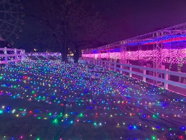 東武動物公園に投稿された画像（2024/11/23）