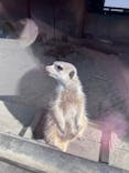 宇都宮動物園に投稿された画像（2024/11/23）