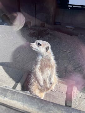 宇都宮動物園に投稿された画像（2024/11/23）