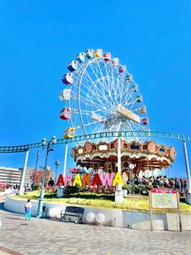 あらかわ遊園に投稿された画像（2024/11/23）