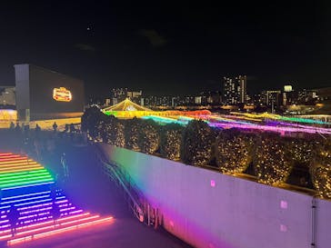 東京メガイルミに投稿された画像（2024/11/23）