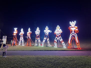 鹿児島イルミナージュに投稿された画像（2024/11/23）