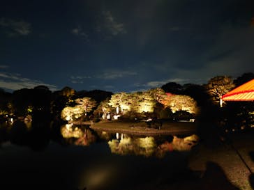 六義園に投稿された画像（2024/11/23）