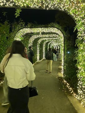 いばらきフラワーパークに投稿された画像（2024/11/23）