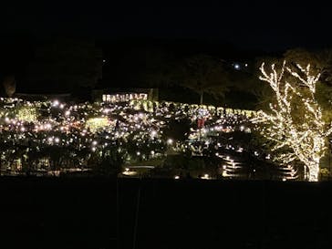 いばらきフラワーパークに投稿された画像（2024/11/23）