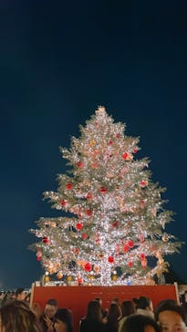 Christmas Market in 横浜赤レンガ倉庫 2025に投稿された画像（2024/11/23）