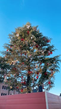 Christmas Market in 横浜赤レンガ倉庫 2025に投稿された画像（2024/11/23）