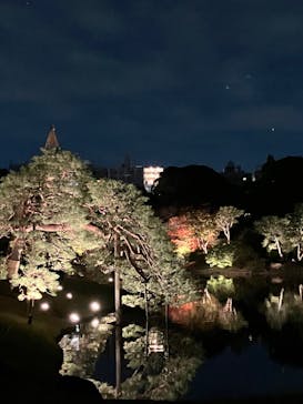 六義園に投稿された画像（2024/11/23）