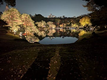 六義園に投稿された画像（2024/11/23）