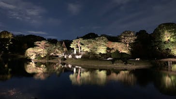 六義園に投稿された画像（2024/11/23）