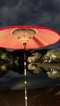 六義園に投稿された画像（2024/11/23）