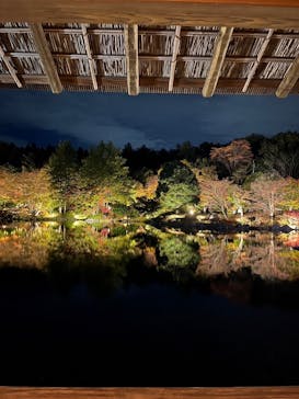 国営昭和記念公園 秋の夜散歩に投稿された画像（2024/11/23）