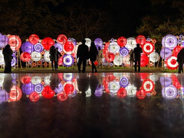 国営昭和記念公園 秋の夜散歩に投稿された画像（2024/11/23）