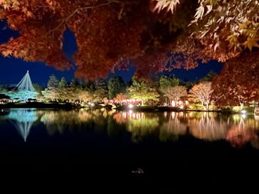 国営昭和記念公園 秋の夜散歩に投稿された画像（2024/11/23）