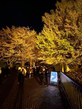 国営昭和記念公園 秋の夜散歩に投稿された画像（2024/11/23）