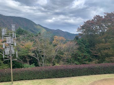 彫刻の森美術館に投稿された画像（2024/11/23）