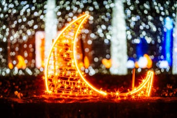 神戸イルミナージュに投稿された画像（2024/11/23）