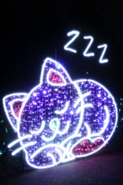 神戸イルミナージュに投稿された画像（2024/11/23）