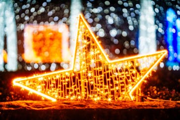 神戸イルミナージュに投稿された画像（2024/11/23）