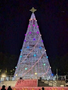 レオマリゾートに投稿された画像（2024/11/23）