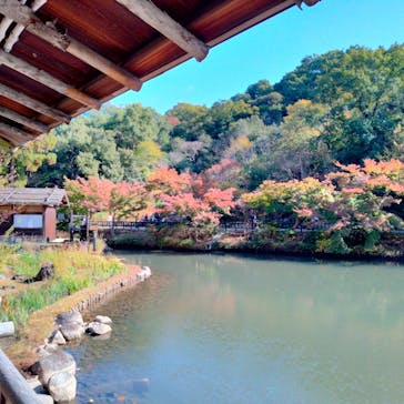 名古屋市東山動植物園に投稿された画像（2024/11/23）