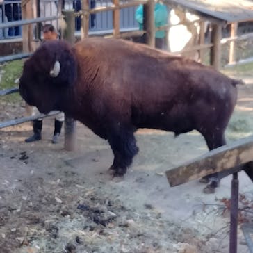 名古屋市東山動植物園に投稿された画像（2024/11/23）