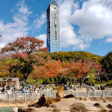名古屋市東山動植物園に投稿された画像（2024/11/23）