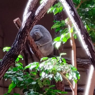 名古屋市東山動植物園に投稿された画像（2024/11/23）