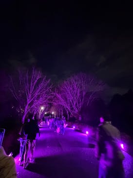 国営昭和記念公園 秋の夜散歩に投稿された画像（2024/11/23）