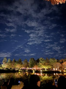国営昭和記念公園 秋の夜散歩に投稿された画像（2024/11/23）