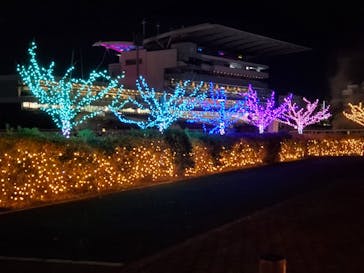 東京メガイルミに投稿された画像（2024/11/23）