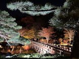 国営昭和記念公園 秋の夜散歩に投稿された画像（2024/11/24）