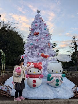 ハーモニーランドに投稿された画像（2024/11/23）