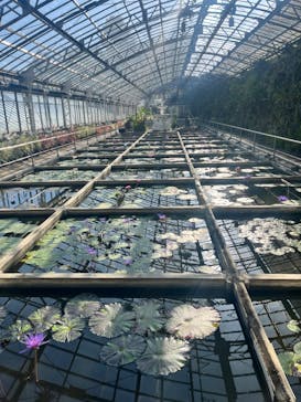 熱川バナナワニ園に投稿された画像（2024/11/23）