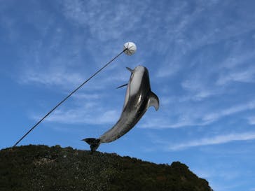 太地町立くじらの博物館に投稿された画像（2024/11/23）