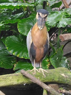 那須どうぶつ王国に投稿された画像（2024/11/23）