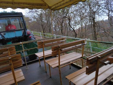 那須どうぶつ王国に投稿された画像（2024/11/23）