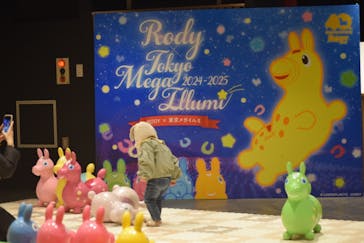 東京メガイルミに投稿された画像（2024/11/23）