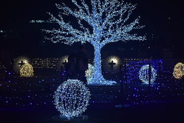 東京メガイルミに投稿された画像（2024/11/23）