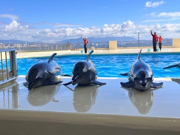 マリンワールド海の中道に投稿された画像（2024/11/23）